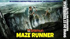 Maze-runner.1