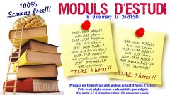1_Moduls-destudi-trimestrals.11