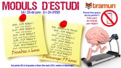 Moduls-destudi-trimestrals.1