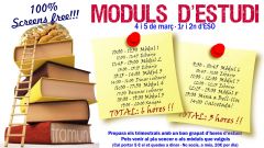 Moduls-destudi-trimestrals.11