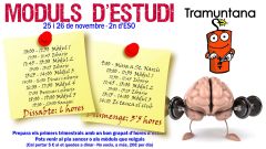 Moduls-destudi-trimestrals.14