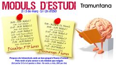 Moduls-destudi-trimestrals.15