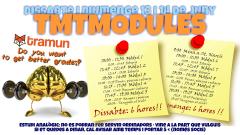 Moduls-destudi-trimestrals.23