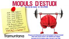 Moduls-destudi-trimestrals.4
