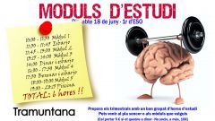 Moduls-destudi-trimestrals.5