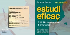Tecniques-destudi