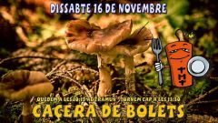 Bolets