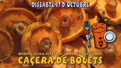 Bolets2