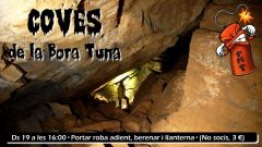 Coves.2