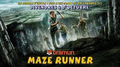 Maze-runner